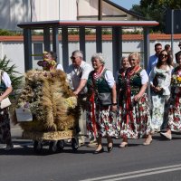 Zobacz w powiększeniu: Dożynki Gminne Baranów 2025 (39)